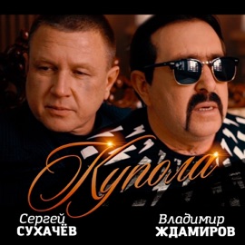 Купола Sergey Sukhachev & Vladimir Zhdamirov