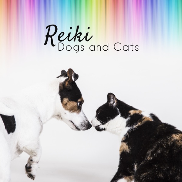 Reiki – Dogs and Cats