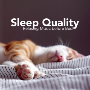 Sleep Quality - Relaxing Music before Bed to Fall Asleep Aaster, Sleep Longer, Wake Up less