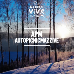 AutoPicnicMazzive - Single