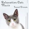 Pet Music for Harmony at Home - Pet Relax Academy lyrics