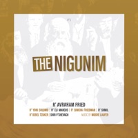 The Nigunim (Moshe Laufer Presents Chabad) [feat. Avraham Fried, Yoni Shlomo, Eli Marcus, Berel Tzuker & Simche Friedman] - Chabad
