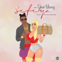Your Money (feat. Sugarbana) - Single - Sefiya