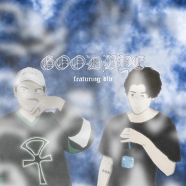 Goodbye (feat. D1v) 5haf