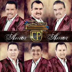 Amor Amor - Conjunto Primavera Amor Amor - Conjunto Primavera