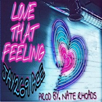 Love That Feeling (feat. Ace) - Single - Jay269