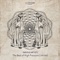 Shadow Days (JP Elorriaga Remix) - Nepemora & Rhythm Box lyrics