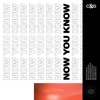 Now You Know - EP