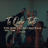 Te Quise Tanto (feat. Nuco, Toser One, Griser Nsr, Bokcal & Anguz) - Single - The Maniakk Zaiko