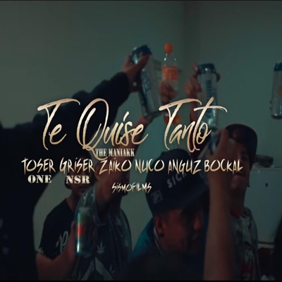 Te Quise Tanto (feat. Nuco, Toser One, Griser Nsr, Bokcal & Anguz) - Single