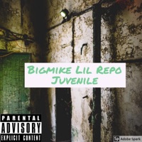 Juvenile - Single - Bigmike