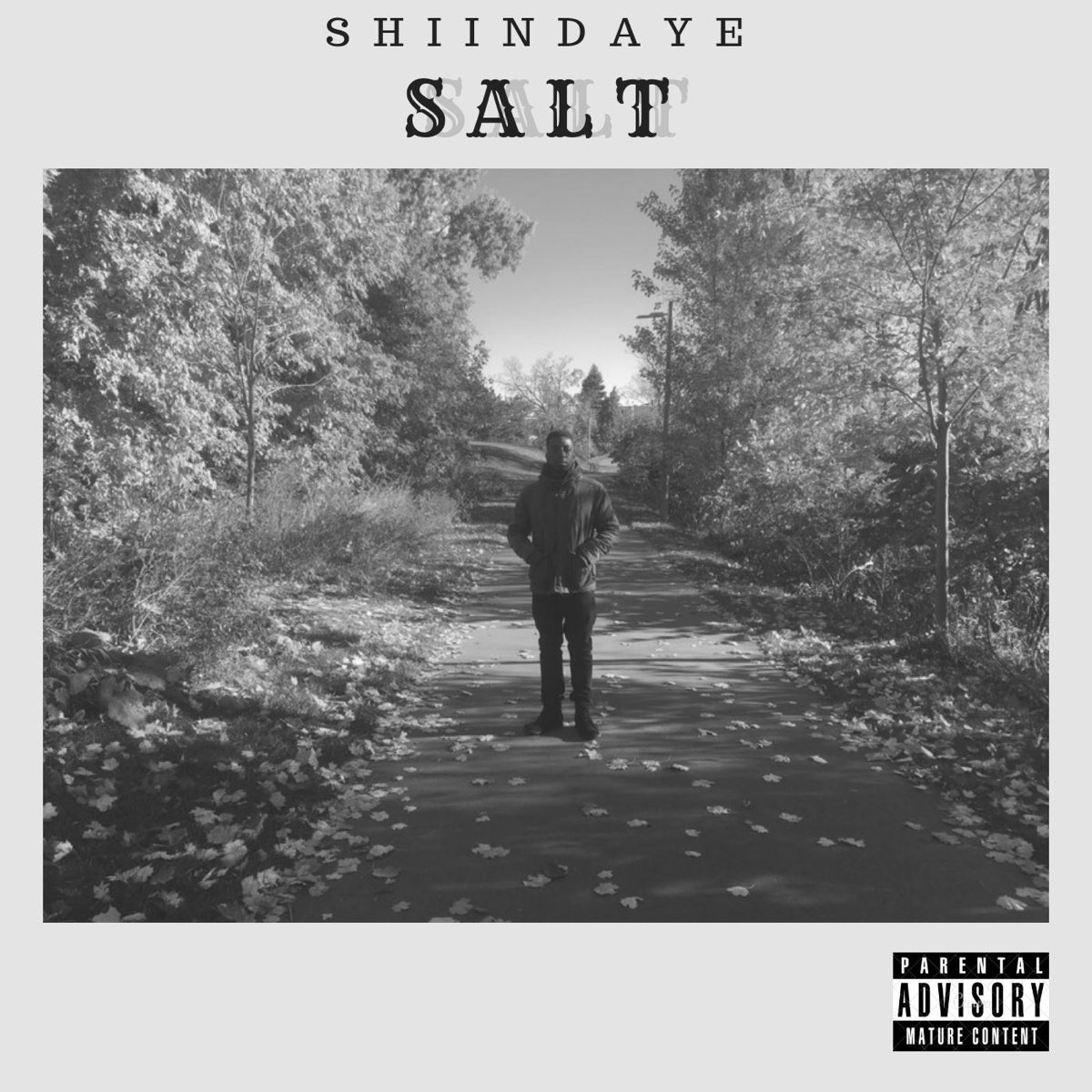 Salt mp3. Salt песня.