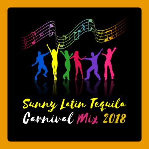 Sunny Latin Tequila Carnival Mix 2018 - Refreshing Mojito, Hot Twerking, Havana Rhythms