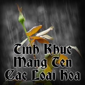 Tinh Khuc Mang Ten Cac Loai Hoa