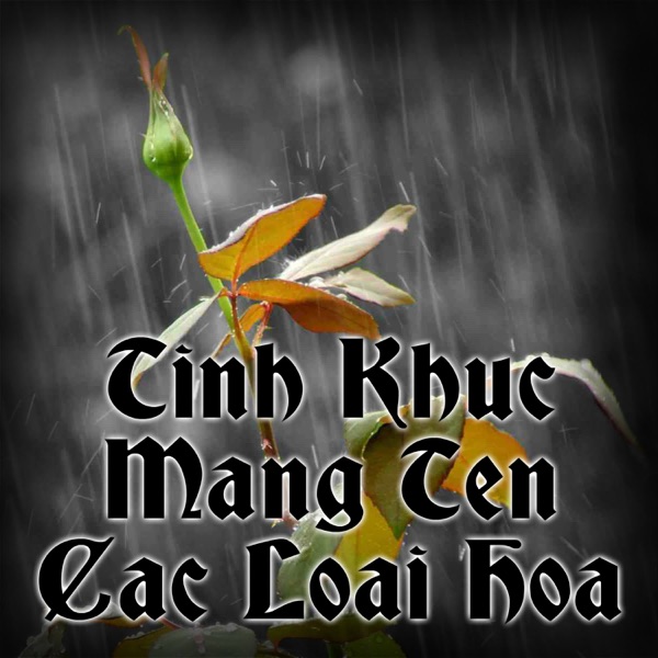 Tinh Khuc Mang Ten Cac Loai Hoa