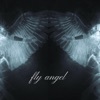 Fly Angel