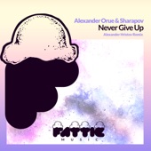 Never Give Up (Alexander Hristov Remix) artwork