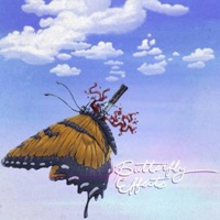 Butterfly Effects - Ukn