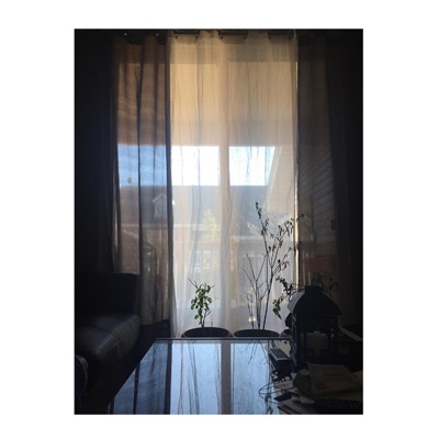 Morning Walks To the Café Together - Single