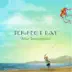 Perfect Day album cover