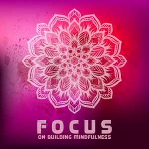 Focus on Building Mindfulness