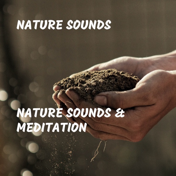 Nature Sounds & Meditation