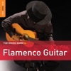 The Rough Guide to: Flamenco Guitar