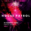 House Patrol (40 Naughty Tunes), Vol. 1 - Various Artists
