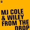 MJ Cole & Wiley