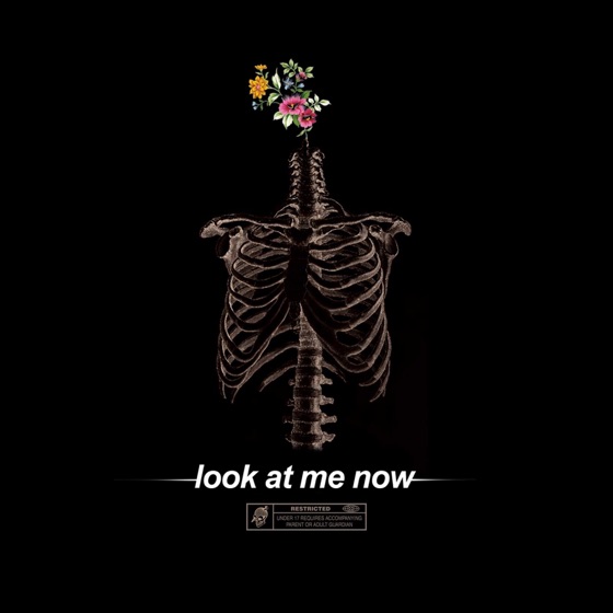 Cover artwork for Look at Me Now