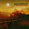 Coming Down a Storm - Pain Confessor lyrics