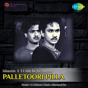 Palletoori Pilla (Original Motion Picture Soundtrack) - Single