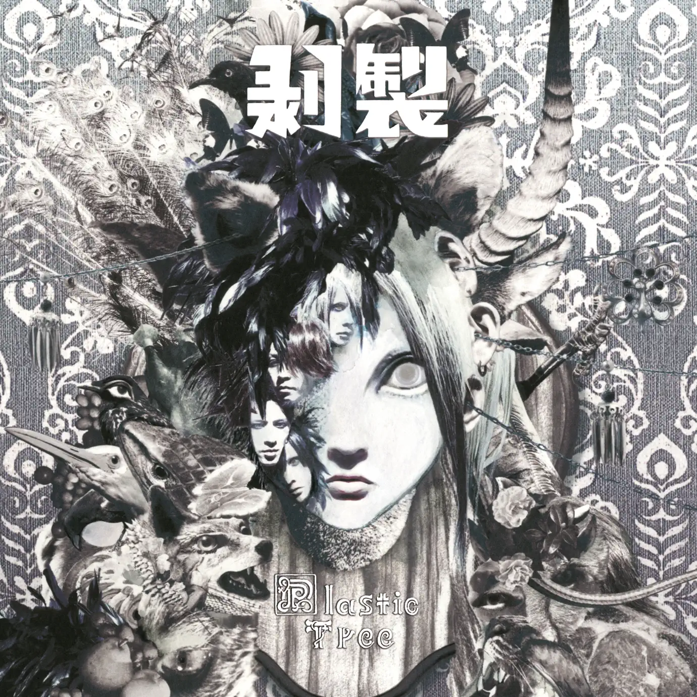 Plastic tree - Songs, Concert tickets & Videos