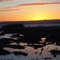 Tears - Single - Tim Bliss