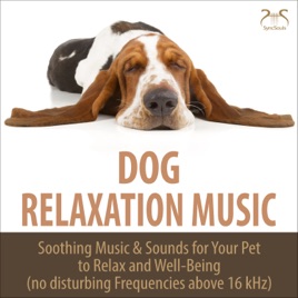 dog relax music dog relax music