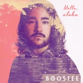 Hello Aloha artwork