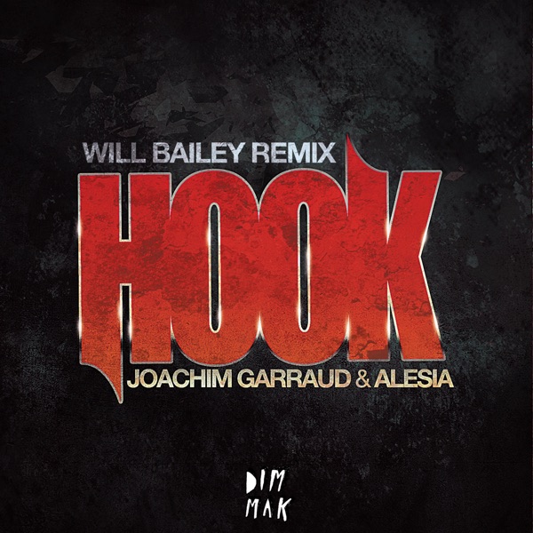 Hook (Will Bailey Remix) - Single - Joachim Garraud & Alesia