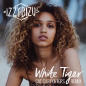 White Tiger (Cat Carpenters Remix) artwork