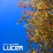 Lucem - Otto Boltzmann lyrics