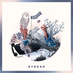 Synead - Zenith