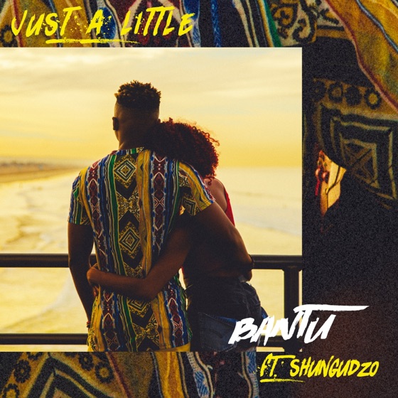 Cover artwork for Just a Little (feat. Shungudzo)