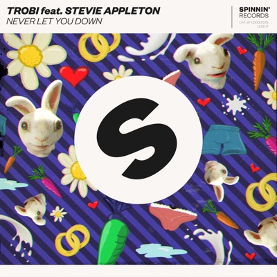 Never Let You Down (feat. Stevie Appleton) - Single