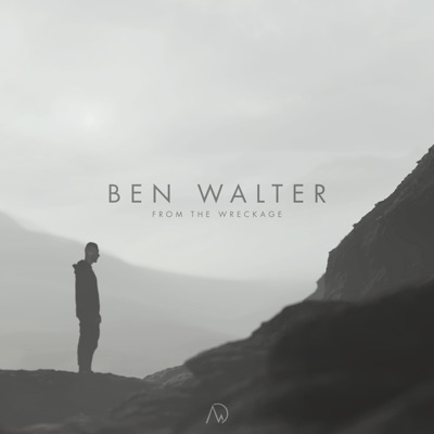From the Wreckage - Single