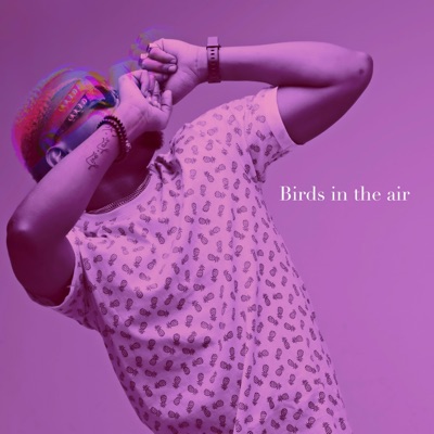 Birds in the Air - Single