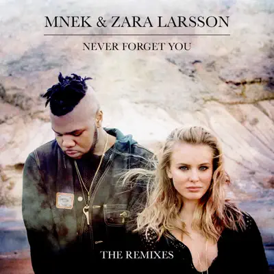 Never Forget You (The Remixes) - EP - Mnek Never Forget You (The Remixes) - EP - Mnek