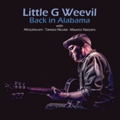 Little G Weevil - Keep Going