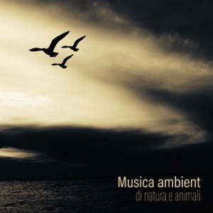 Migliore selezione 2018: Musica ambient di natura e animali - Suoni della natura per meditazione e rilassamento, Yoga e sonno profondo (feat. Relax musica zen club)