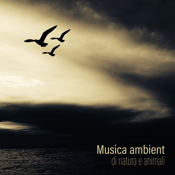 Migliore selezione 2018: Musica ambient di natura e animali - Suoni della natura per meditazione e rilassamento, Yoga e sonno profondo (feat. Relax musica zen club)