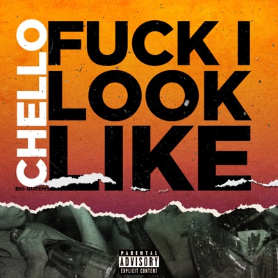 Fuck I Look Like - Single