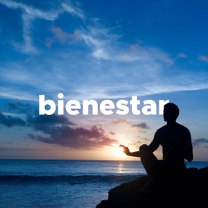 Bienestar - Música Relajante para Saunas Finlandesas, Masajes, Baños de Vapor, Día de Spa